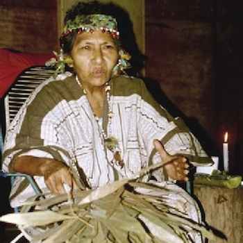 From Medicine Men to Day Trippers: Shamanic Tourism