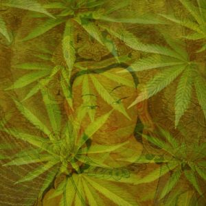 Virtual & Interactive Livestream: Cannabis as a Spiritual Ally June 8, 2024